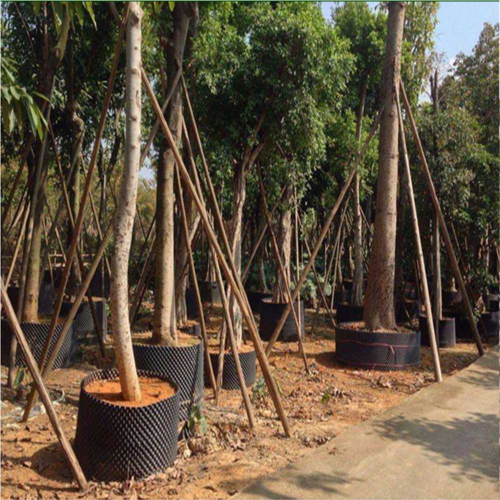 กระถางปลูกต้นไม้แบบเร่งการเจริ - Outdoor Furniture บทวิจารณ์และราคา